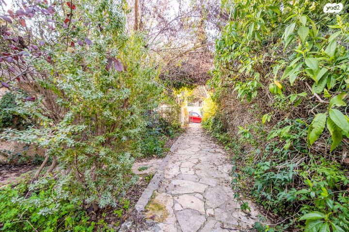 דירה, כרמון, בית הכרם, רמת בית הכרם, ירושלים