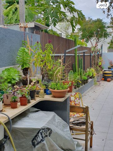 דירת גן, חידושי הרי"ם, צהלון, שיכוני חסכון, תל אביב יפו