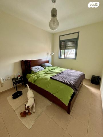 דירה, שיינקין, תל אביב יפו