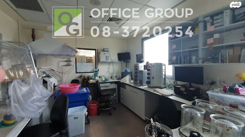 אלי הורוביץ 