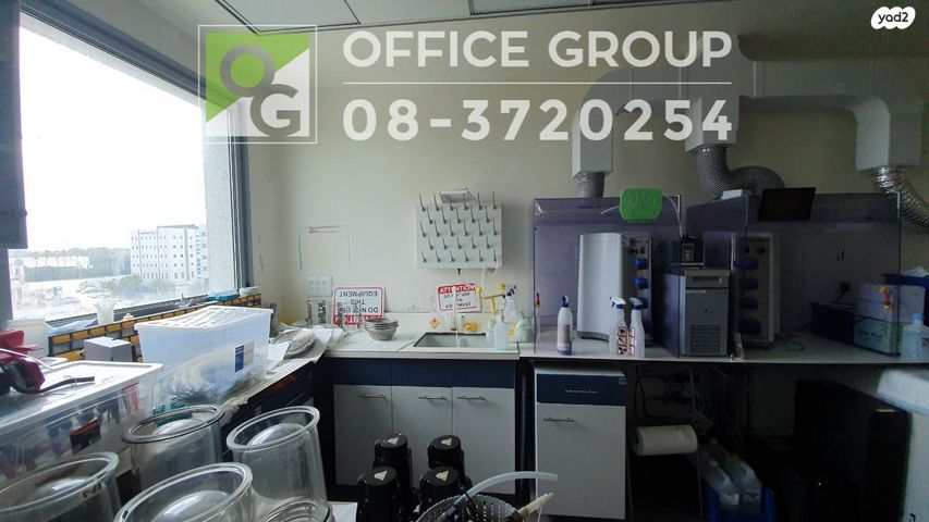 משרדים, אלי הורוביץ, רחובות