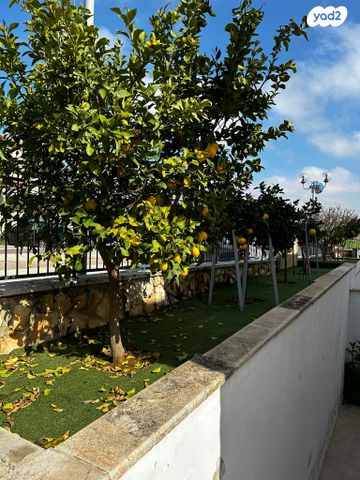 דו משפחתי, גבעת זאב