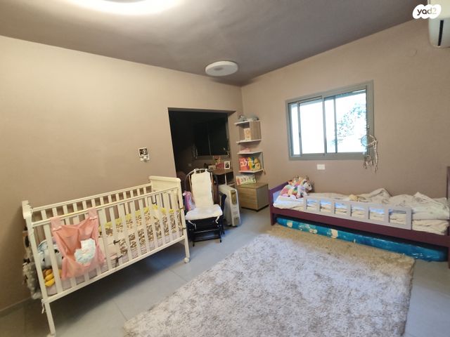 דו משפחתי, אורנית