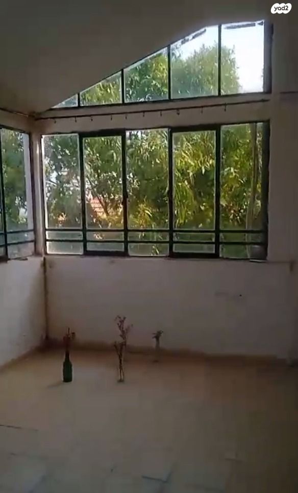 דירה, ירושלים, הדר מרכז, חיפה