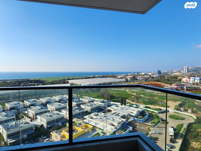 דירה, דולפין, גלי כרמל, טירת כרמל