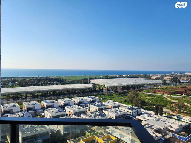 דירה, דולפין, גלי כרמל, טירת כרמל