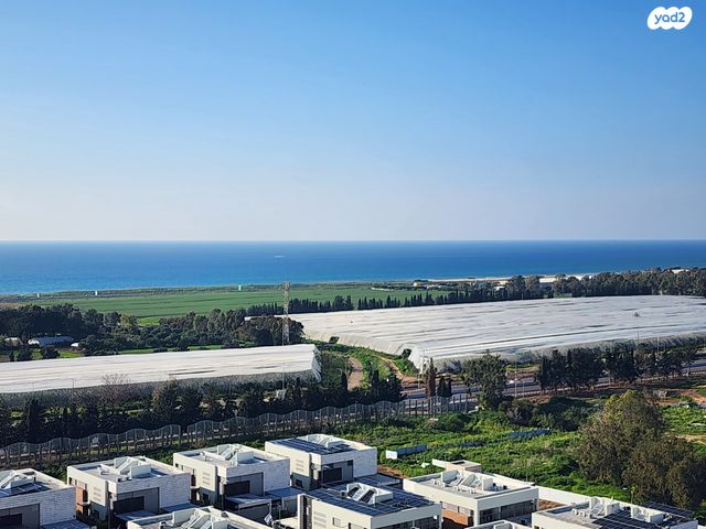 דירה, דולפין, גלי כרמל, טירת כרמל