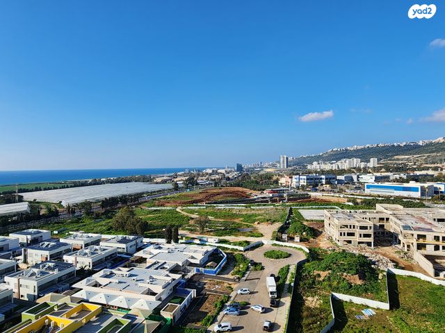 דירה, דולפין, גלי כרמל, טירת כרמל