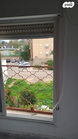 דירה, המלך דוד, נווה דוד, חיפה