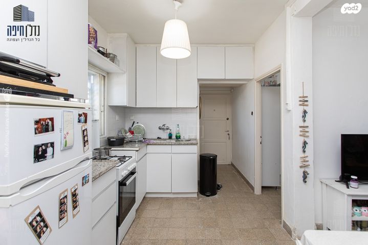 דירה, ברל כצנלסון, זיו, חיפה