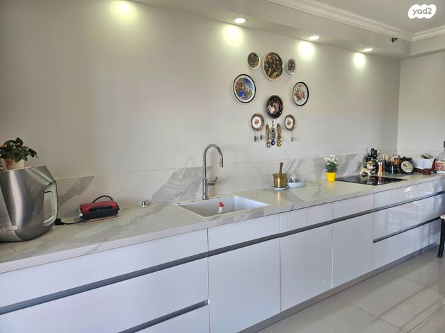 גג/ פנטהאוז, יהוד מונוסון