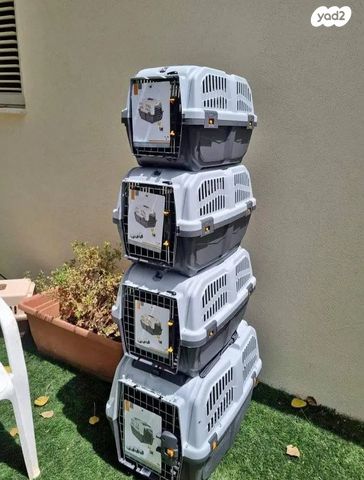 תמונת מודעה - חיות מחמד