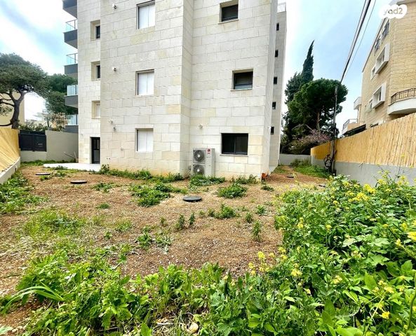 דירת גן, כרמליה, חיפה