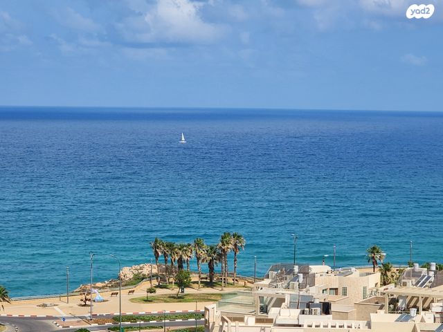 דירה, יוסף לפיד, נתניה