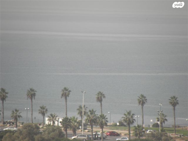 גג/ פנטהאוז, תל אביב יפו