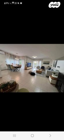 שמחה הולצברג 