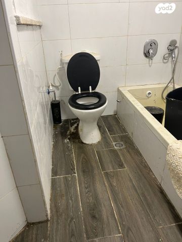 דירה, סיני, אור יהודה