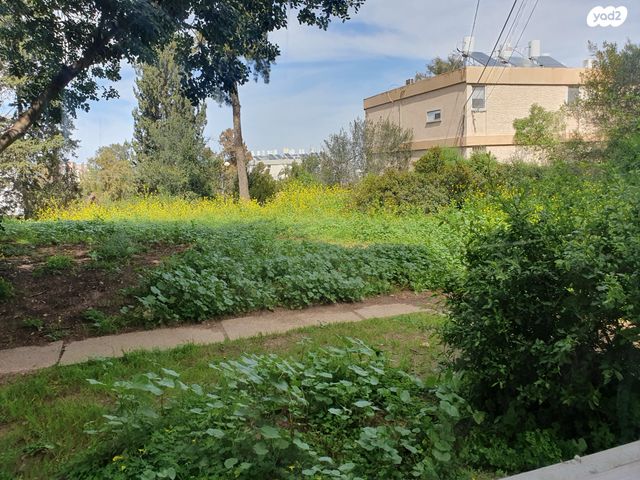 דירה, רמות רמז, חיפה