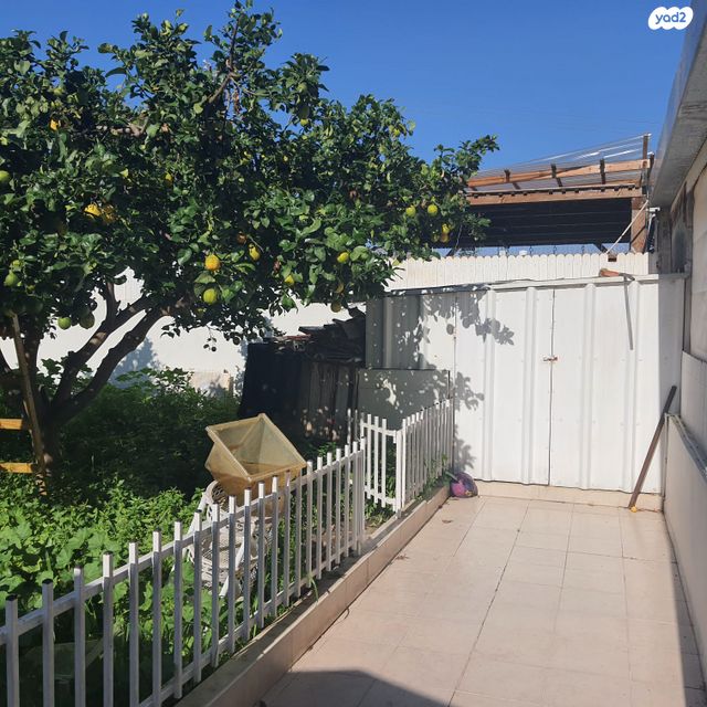 דירת גן, תחייה, פרדס חנה כרכור