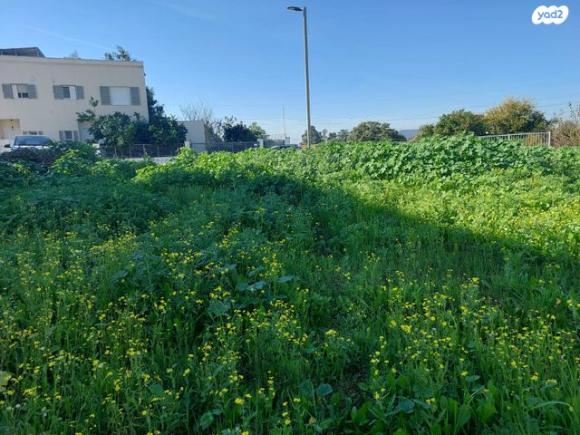 דירת גן, תחייה, פרדס חנה כרכור