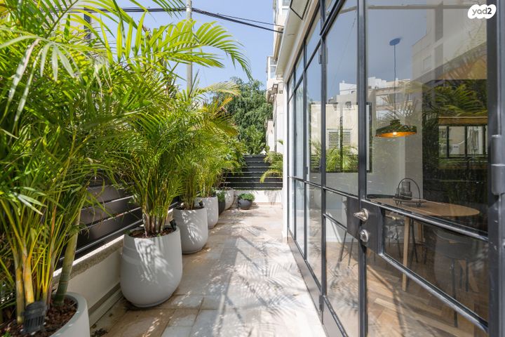 דירה, ש"ץ 15, הצפון הישן - דרום, תל אביב יפו