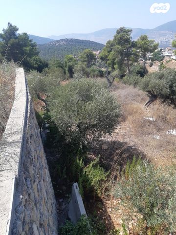 מגרשים, חזון