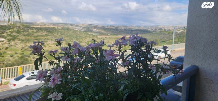 דירת גן, אורנית