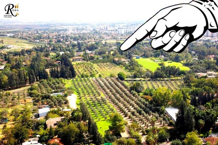 משק חקלאי/ נחלה, סביון