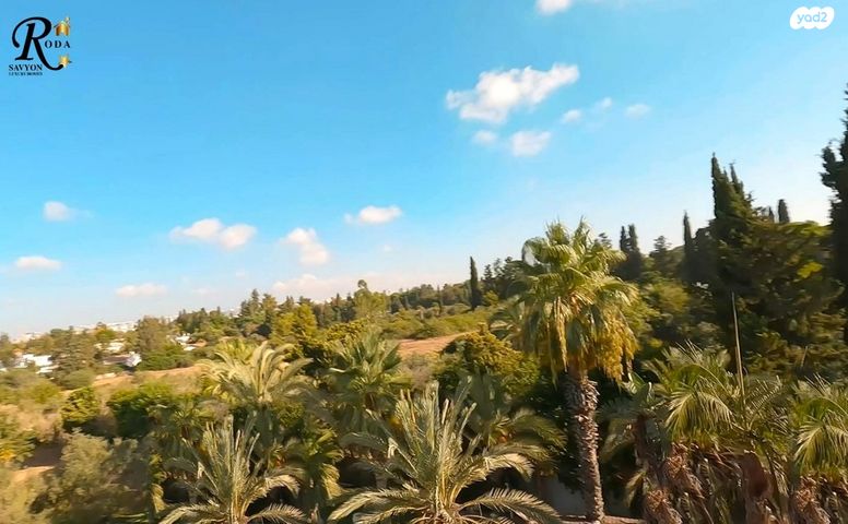 משק חקלאי/ נחלה, סביון