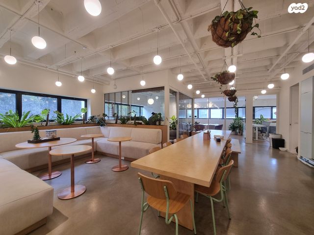 הצפון החדש - דרום