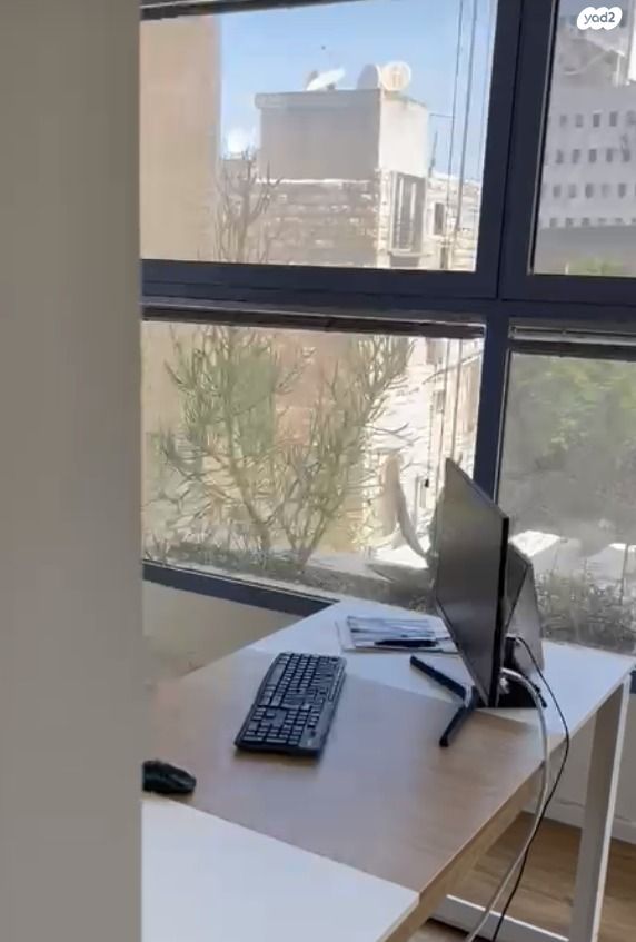 משרדים, הנביאים, הדר מרכז, חיפה