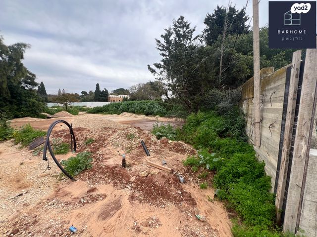 כפר שמריהו