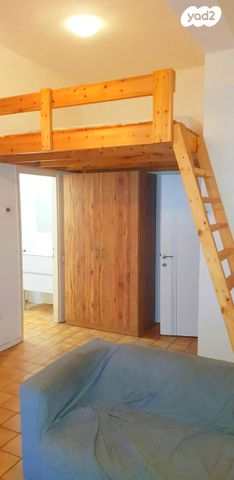 דירה, מסדה, חיפה