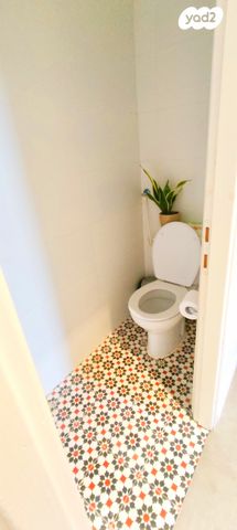 דירה, מסדה, חיפה