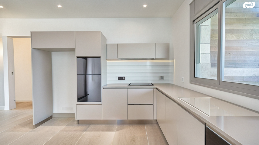 גג/ פנטהאוז, תכנית ל', למד, תל אביב יפו