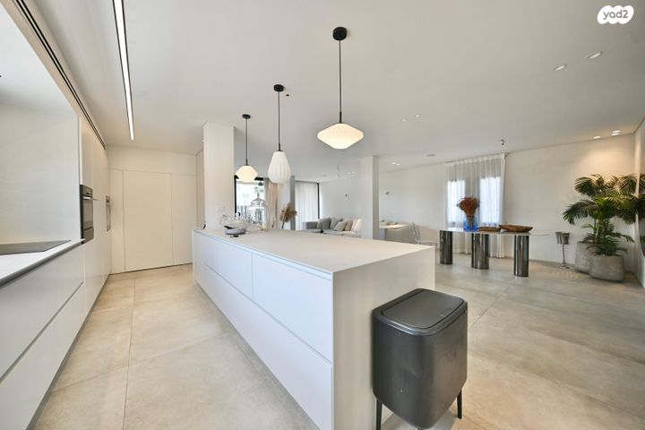 גג/ פנטהאוז, רוטשילד, מרכז מערבי, נס ציונה