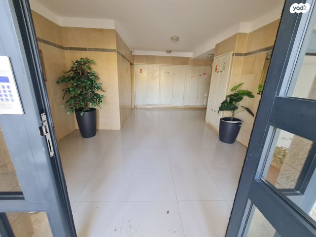 דירה, האלמוג, מעלה אדומים