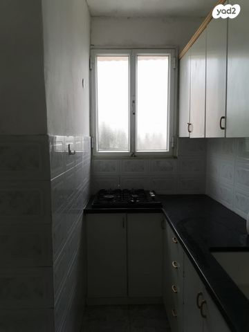 דירה, המלך דוד, נווה דוד, חיפה