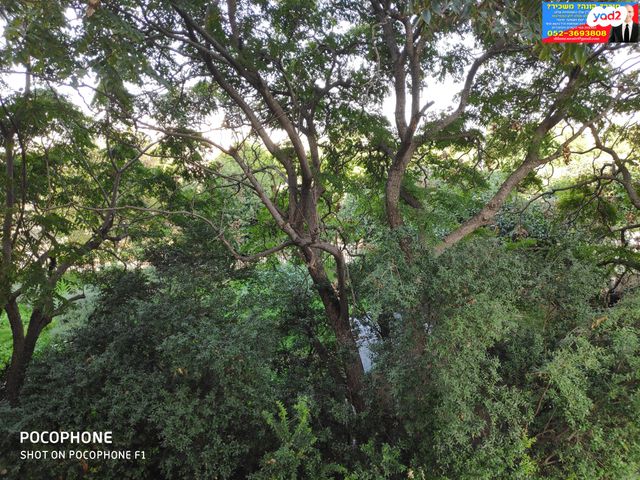 בית פרטי/ קוטג', האטד, רמת אפעל, רמת גן