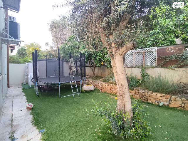 דו משפחתי, אורנית