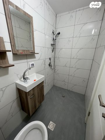 דופלקס, אריאל