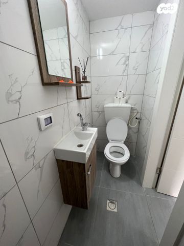 דופלקס, אריאל