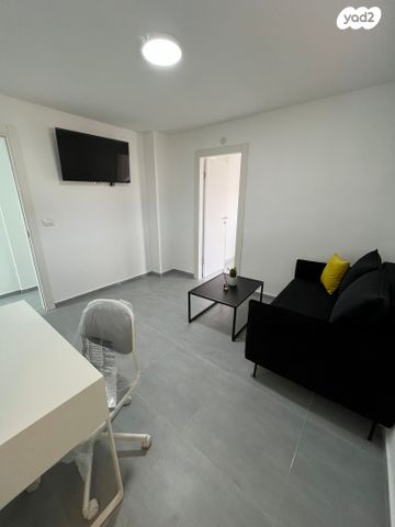 דופלקס, אריאל