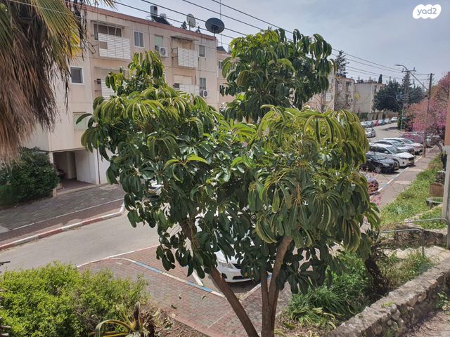 מעלה הכרמים 