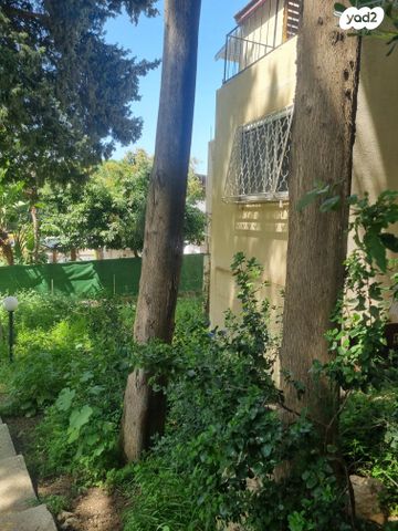 דירה, רמות רמז, חיפה