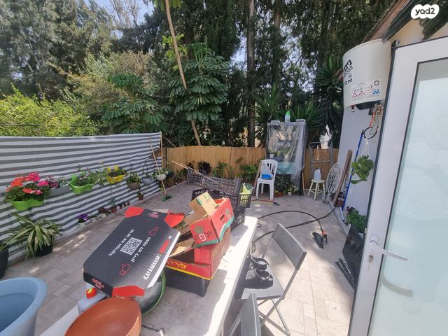 דירה, רמות רמז, חיפה