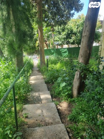 דירה, רמות רמז, חיפה