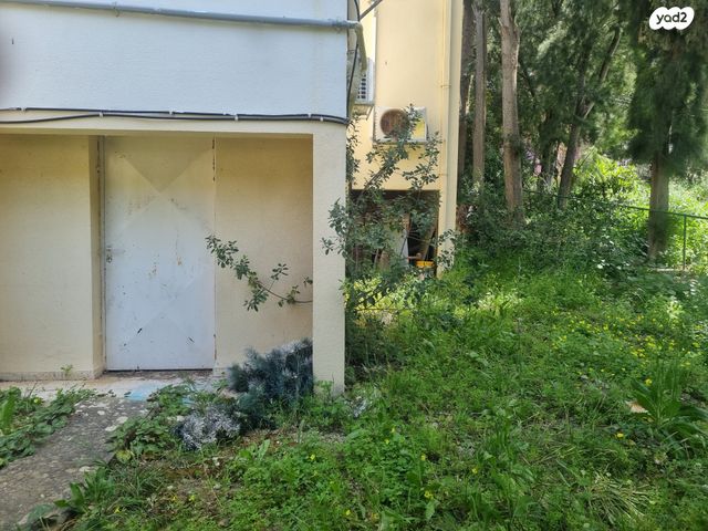 דירה, רמות רמז, חיפה