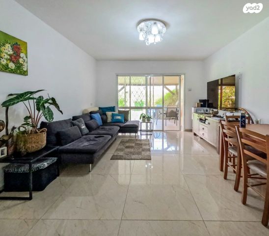 אריה דולצ'ין 