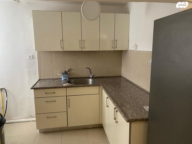 אלכסנדר ינאי 